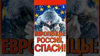Европейцы: Россия, спаси!
