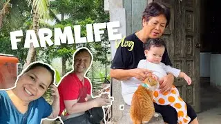 VLOG &bull; Farm Life Diaries: Part 1 | Nhel Plummer