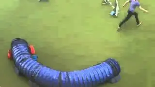 Mitch 1.Rang Jumping / 2.Eo- Qualifikation
