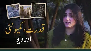 Iceland Project Galiyat Revealed | 84 Canal Community Based Project with Forest Land