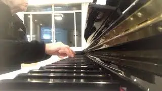 Reflexoes. (Composi&ccedil;&atilde;o e execu&ccedil;&atilde;o: Ana Maria Lambert Bom Aggio)