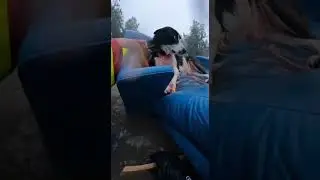 Desperate Flood Couch Rescue