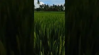 #agriculture #farming #naturalstatus #vegetables #food #whatsappstatus #nature #status #statusvideo