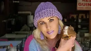 The Guinea Pig Vet is in House!