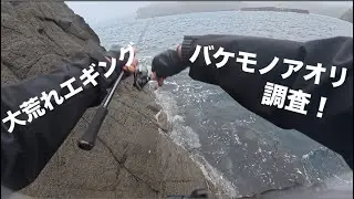 ［春イカエギング］エギング聖地伊豆でバケモノアオリイカ調査！！！