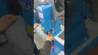 Sebat 54Çıtçıt Memeli
