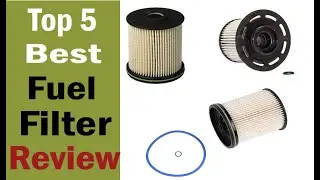 Top 5 Best Fuel Filter in 2022