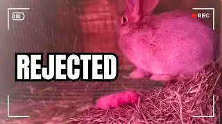 She was NOT happy about becoming a mom...