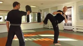 Kickboxing - Hüfteinsatz - Roman Martin