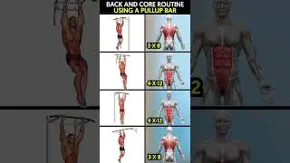 BACK AND CORE ROUTINE USING A PULLUP BAR #shortsvideo #pullup bar #gymtips #fitnesstips #gymexercise