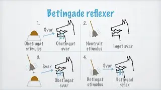 Inl&auml;rning