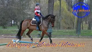 Lehrgang? Corona? Wird uns nicht aufhalten!!! Michelle Mothes (Momo) reitet mein Pferd 😍