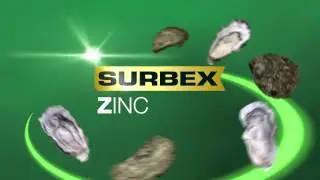 Abbott Surbex Zinc (ENG)