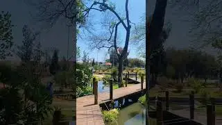 Parque da Cidade em Jacare&iacute; 🌳✨ um ref&uacute;gio de natureza, lazer e tranquilidade no cora&ccedil;&atilde;o da cidade!