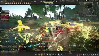 [BDO] Succ Ranger gameplay be like