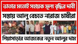 20/02/2026 : পিয়াসাড়ার আজকের নতুন জ্যোতি আলুর দাম | New Potato Price in Piasara - India Potato News
