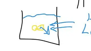 Osmoregulation cell transport review post thanksgiving dec 2