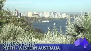 Move to Australia? - Move to Perth - Views from Kings Park
