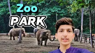Hyderabad Zoo || wildLife Park in Hyderabad Pakistan 🇵🇰