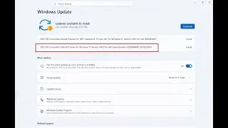 How to fix update KB5064081 failed to install in Windows 11 24H2
