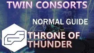 A Guide to Twin Consorts [VOX] (ToT)