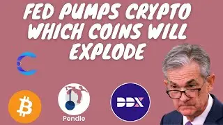 Fed pumps Crypto which coins will explode | Contentos Review