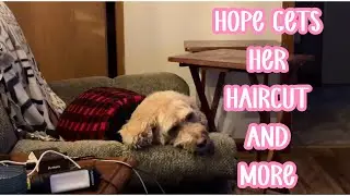 WHAT A DAY : HOPE GET&rsquo;S A HAIRCUT, MORE WHEELCHAIR CONFUSION, & WATCHING TRIALS WITH EDB!! (1/29/26)