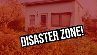 I Bought a Disaster Zone: The Yard Tour 🌿🏚️
