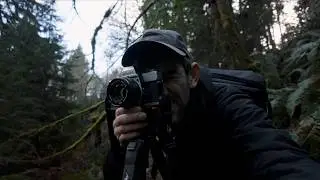Switching Back to Film