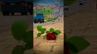 Dikenli Bahçe/BAŞKÖYLÜ MEMOLİ