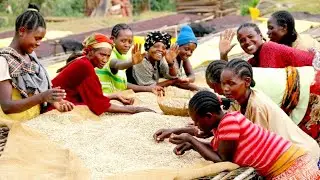 ETHIOPIA: Origin Trip