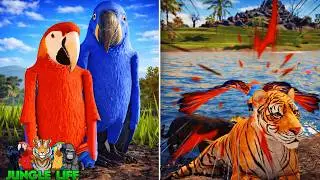 NEW Macaw Animal Update! in ROBLOX JUNGLE LIFE
