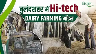 80+ साल के ओम प्रकाश पालीवाल की Hi-Tech Dairy Farming, 20-30 लीटर दूध&nbsp;देने&nbsp;वाली&nbsp;गायें