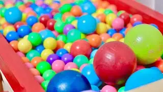 Marble Run Peaceful Motion ASMR – Calm Visual Order