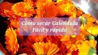 C&oacute;mo secar cal&eacute;ndula f&aacute;cilmente 🌼 | Para t&eacute; y decoraci&oacute;n
