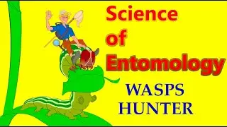 Predaceous, Parasitic & Phytophagous Insects in Action: Hymenoptera, Coleoptera, Neuroptera.