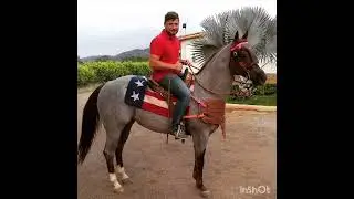 Ramón Blanco Jr. - Al Gran Equipo Royalty | Tributo Llanero 🎻🐎