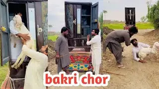 Bakri chori Karne ka anjaam wait for end 😂 #khizarUmar