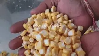 High-Speed Sweet Corn Seed Remover | Industrial sweet Corn Sheller Machine | Sweet Corn Peeling