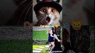 funny / funny shorts video 🤣#shorts #funny #cat #viral