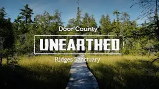 The Ridges Sanctuary in Baileys Harbor - Door County Unearthed