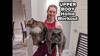 UPPER BODY - Home Workout - NO EQUIPMENT - *challenging* - CAT CAMEO -