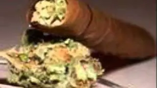 (NEW Shit 2011) snippet The Kush Administration By: Lil dre