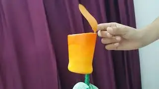 pitcher plant #kids #science #model