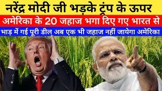 India vs America Rice War Explained | Basmati se kaise badla Global Power Game😱