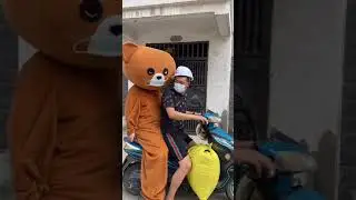 Funny Brown Bear Handing Out Leaflets | Funny Troll - Funny Pranks