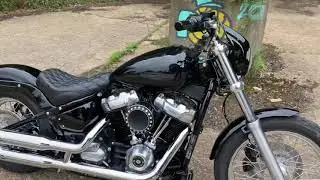 2020 Harley Davidson softail Standard custom bike.