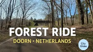 Cycling Through the BeautifulForests of Doorn | 10 Minutes ofPure Dutch Nature