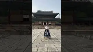 SEOUL LIFE WITH ADVENTURE KOREA #shortsvideo #shorts