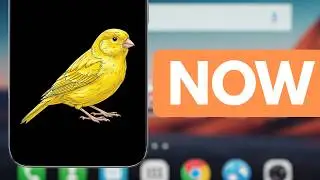 Don't Wait for the OTA! Force Update Android Canary Now!